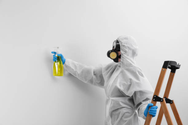 Best Forensic Mold Investigation  in Summerfield, MD